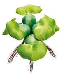 Pontec PondoHyacinth - jacinto de estanque flotante para la superficie del agua / decoración de estanque de plástico resistente a la intemperie, verde