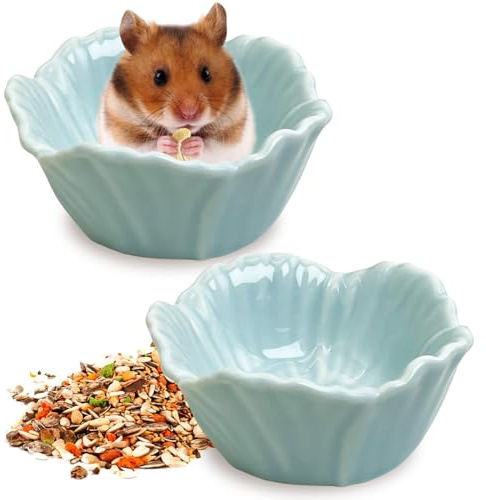 kathson 2 ciotole in ceramica per criceti, criceti nani, porcellini d'India, topi e piccoli animali, per orsi dorati, ricci, maiali olandesi, pappagalli (blu)