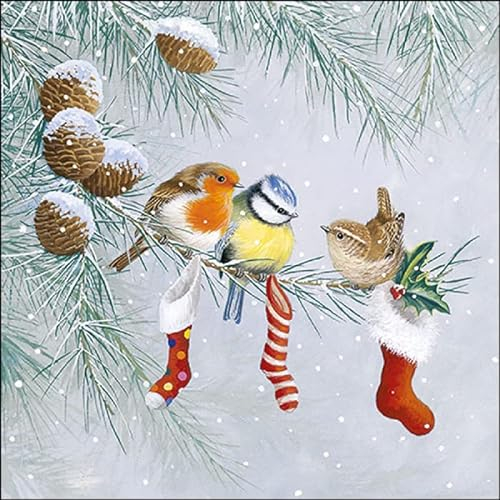 Lot de 20 serviettes oiseaux et chaussettes de Noël - Animaux - Hiver - Noël - Décoration de table 33 x 33 cm