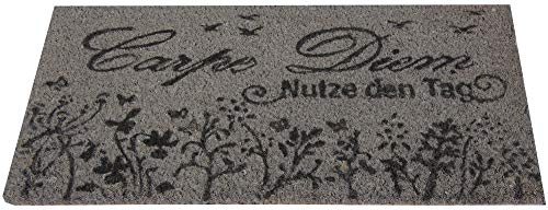 Bestlivings Fußmatte Kokos Schuhabtreter 25x50cm (Carpe Diem), Fußabtreter Schmutzfangmatte Türmatte Bodenmatte Läufer Teppich Türvorleger Abtreter