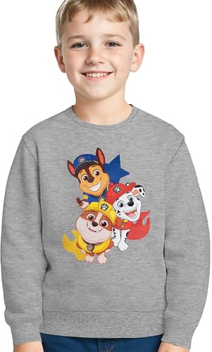 United Labels Paw Patrol Sweatshirt für Jungen - Kinder Pullover Oberteil Grau (DE/NL/SE/PL, Numerisch, 98, 104, Regular, Grau)