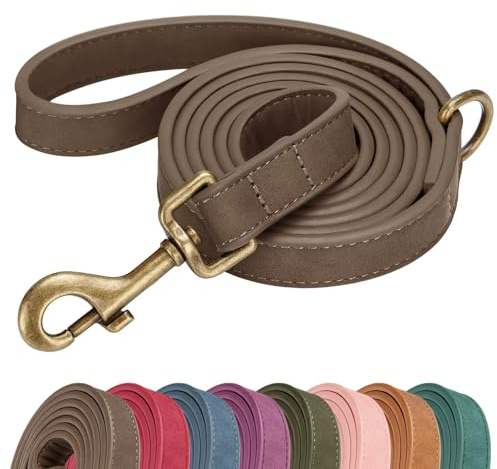 Didog Stylish PU Leather Dog Leash for Large Dogs, Easy to Clean 5ft Dog Leashes for Medium Dogs, Fashionable and Elegant for Walking, Running and Training,Brown, M