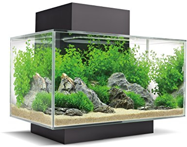 Fluval Edge 2.0 Nano Aquarium, 23L, schwarz, 1 Stück (1er Pack)