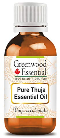 Greenwood Essential Pure Thuja Essential Oil (Thuja occidentalis) Steam Distilled 10ml (0.33 oz)