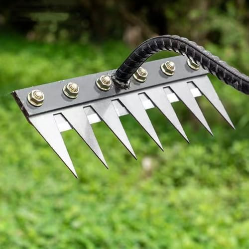 5/6/7/8 Denti Rateau Di Diserbo,Rastrello Da Giardino,Rateau Di Diserbo Con Manica,Rastrello Da Giardino In Acciaio Al Carbonio,Rateau Bertaus per Diserbere/Allenamento/Seme (7 Denti)