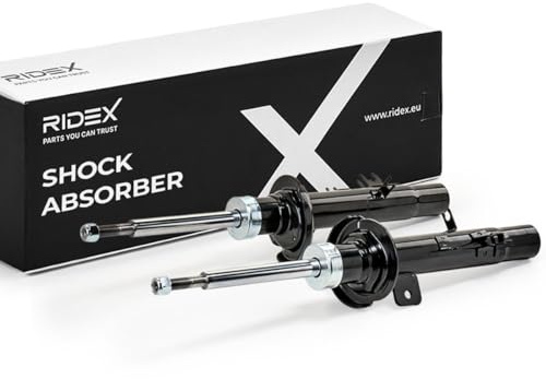 RIDEX 2x Amortisseur Avant Avant Droite Avant Gauche Pression de gaz Compatible avec CITROËN C3 I 3/5 portes FC, FN, RENAULT Laguna II 5 portes BG, BG0/1