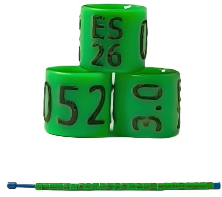 nestQ Rings Canary 2026 Federative Green Polychrome Laser Engraved Closed 3mm Numbered with Year Marked 1 Strip 25 Rings