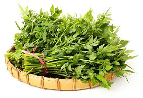 Graines De Livèche Levisticum Officinale