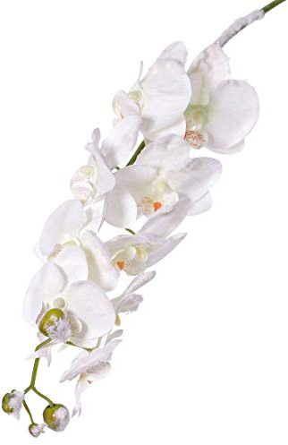 artplants.de Künstliche Phalaenopsis Orchideenzweig Nalani, Schnee, weiß, 80cm - Kunstblumen - Kunstorchidee