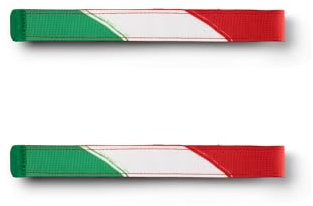satch SWAPS Rucksack Accessoire in vielen Designs und Farben, austauschbar und individuell kombinierbar Italy - Grün