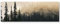 Eau Zone Wandbild auf Leinwand 120x40cm Wald im Nebel