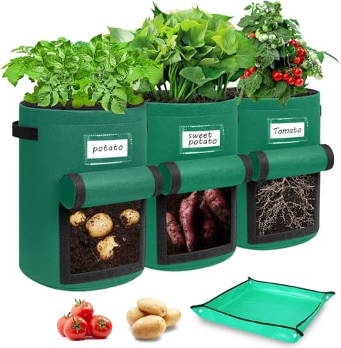 Sacco per piante, per patate, 3 pezzi, 10 galloni, per piantare patate, con 2 manici, patta visibile e targhette per piante, per patate, pomodori, fiori, piante, verdure