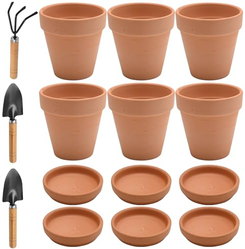 Hoypeyfiy Lot de 6 petits pots de fleurs, en terre cuite, 10 x 10 cm, avec soucoupe et trou de drainage, pour plantes, bricolage, cadeau de mariage