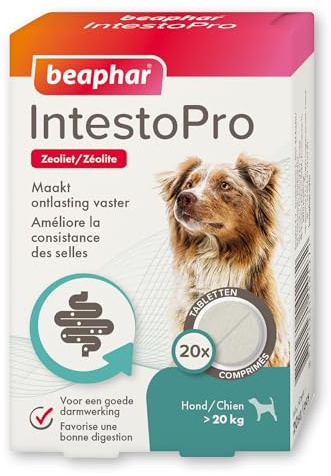 BEAPHAR – IntestoPro – Comprimés pour améliorer la consistance des selles – Favorise la Digestion – Ingrédient Actif d'origine Naturelle - pour Chiens (>20 kg) - 20 comprimés