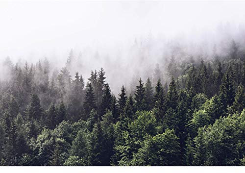 Nebelwald Fototapete aus Vlies | Natur Fototapete mit Tannenwald in Nebel in Dunkelgrün und Weiß | Schlafzimmer und Flur Tapete mit Landschaft