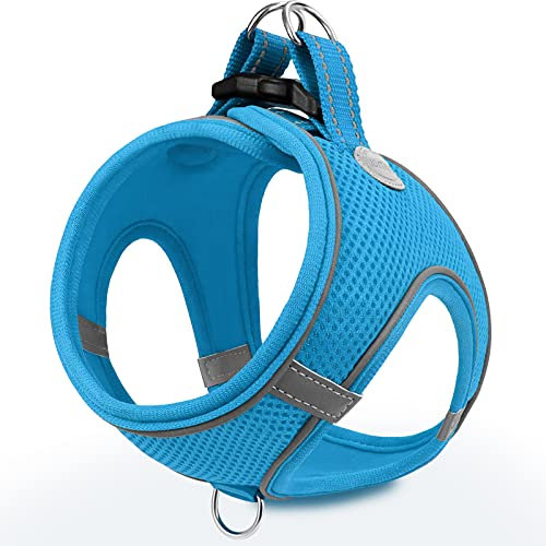 Joytale Hundegeschirr, Reflektierend Weich Gepolstert Hunde Geschirr, Air-Mesh Atmungsaktiv Brustgeschirr für Kleine Mittelgroße Hunde, M, Baby Blau
