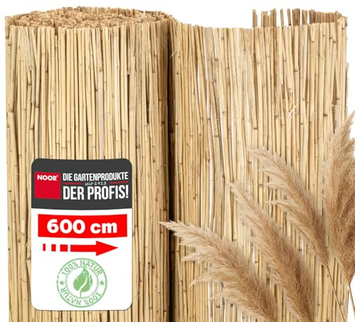 NOOR Schilfrohrmatte ST. Tropez - Natürlicher Sichtschutz aus Schilf für Balkon, Terrasse und Garten - Wetterfeste Sichtschutzmatte zum Anbringen am Zaun - 60 cm x 6 m Schilfrohr Balkonsichtschutz