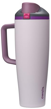 Owala FreeSip Tumbler Insulated Stainless Steel Water Bottle with Built-in Straw and Side Handle, For Travel, Work, School, and Sports, 40oz, BPA Free, Leak Proof, Dreamy Field