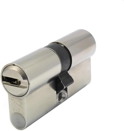 Serrure à double cylindre pour ABUS Bravus 2500 MX | Cylindre de sécurité avec technologie magnétique| Fonction d'urgence et de danger | 3 clés de sécurité + carte de sécurité (40/30)