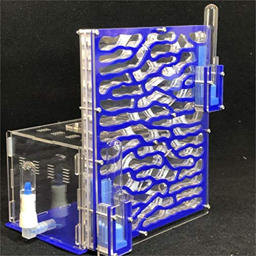 ANT GRAPE 6 Couches Fourmi Raisin humidité Zone d'alimentation Fourmi Ferme Acryl Insecte Villa Fourmis nids Villa Animal de Compagnie avancée Manie pour Fourmis Maison (Bleu)