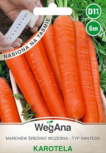 WegAna 6m Bande de semis Carottes Carotela Graines Carottes Nantaise Robustes Graines de légumes Graines de culture Semences Herbes de cuisine Balcon & jardin Épices