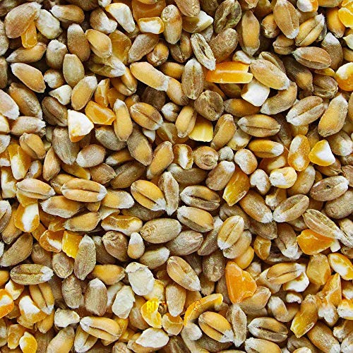 BusyBeaks Mixed Poultry Corn | Premium Quality Natural Seed Feed Mix | Rich in Vitamins and Calcium | Great Chicken Duck Geese Food | Helps Develop Strong Beaks Tough Bones & Healthy Feathers (2.5kg)
