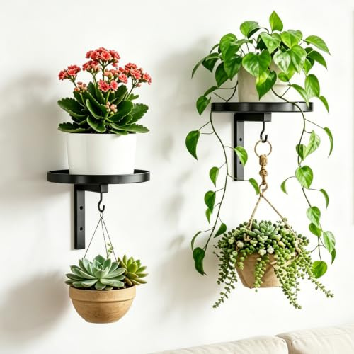 Halorin 2 unidades colgantes de pared para plantas, soporte de pared con ganchos, soporte para flores para exterior, estantería decorativa para plantas, pared, estantería para flores, balcón, maceta