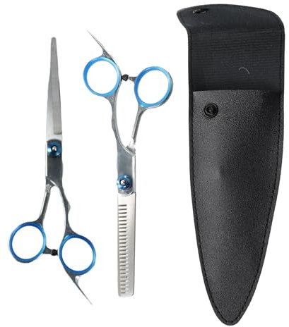 1 Set Professional 6-Inch Hairdressing Scissors & Thinning Scissors Set, Premium Stainless Steel Hair Cutting Kit for Men, Women, Children, and Pets, for Home, Salon, Barber & Grooming Needs