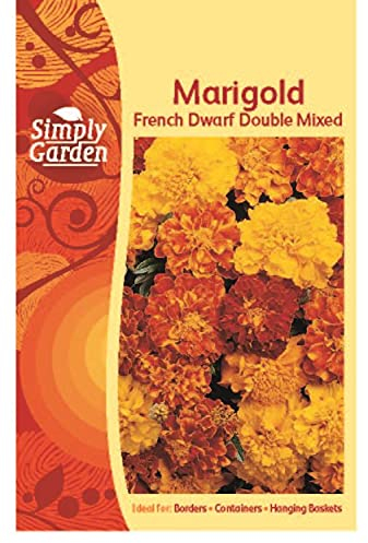 Simply Garden Marigold French Dwarf Double Mixed Seeds Grow Your Own Flowers