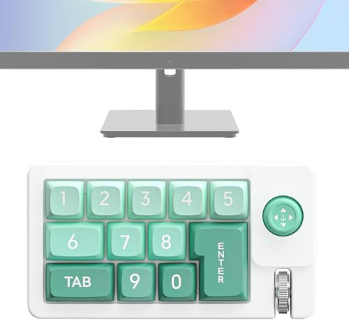 lyanny Tastiera Programmabile, Tastiera Meccanica RGB, Tastierino Numerico con Joystick Hot-Swap per Digitazione Musica Trading PC