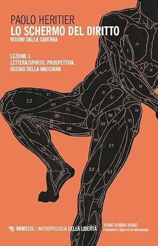 Lo schermo del diritto. Visioni dalla caverna. Lettera/spirito, prospettiva, occhio della macchina (Vol. 1)