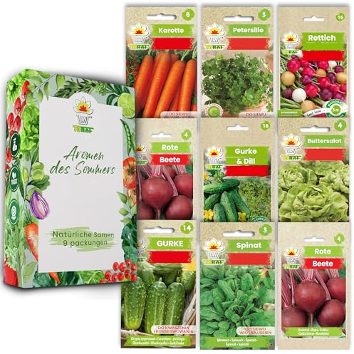 LW TORAF Set de graines XXL 7 variétés de légumes premium, graines de légumes jardin, 3000 graines de plantes, potager, cuisine, carotte, persil, radis, betterave rouge, laitue, concombre et aneth