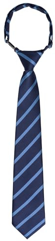 Bskifnn Kids Tie Boys Pre Tied Necktie Satin Stripe Neckties Adjustable for Age 4-7 Wedding Party Graduation Uniforms (1, Blue, kid)