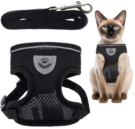 GCR ANIMAL STORE - Pettorina Gatto con Guinzaglio - Schiena Regolabile - Rete Traspirante No Choke, Step-In Antifuga, Inserti Catarifrangenti – Taglia S - Leggera e Confortevole