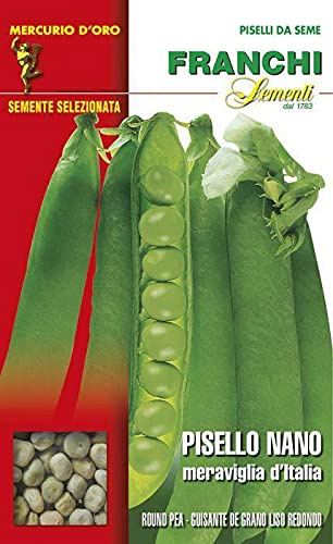 Semi Pisello Nano Meraviglia D'Italia Franchi Sementi 500g