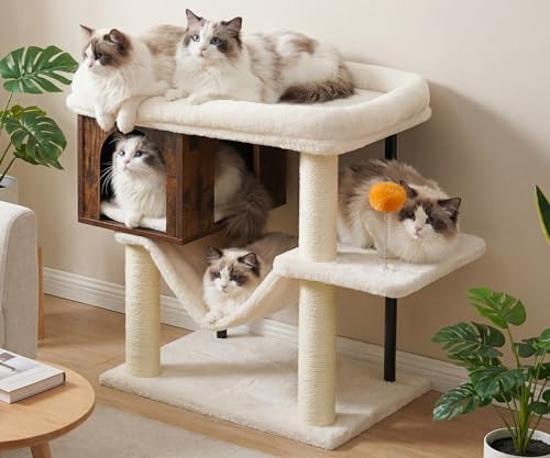 Heybly Katträdstorn Kattkoja I Trä För Kattungar Inomhus Stor Plattform För Vuxna Katter Stor Vadderad Sittpinne För Maine Coon Möbler Med 3 Sisalstolpar Hängmattor Boll, Vintage Brun HCT017SR