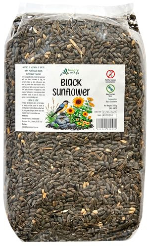 Premium Wild Bird Food 5L Refill, (5L Bag, Black Sunflower)