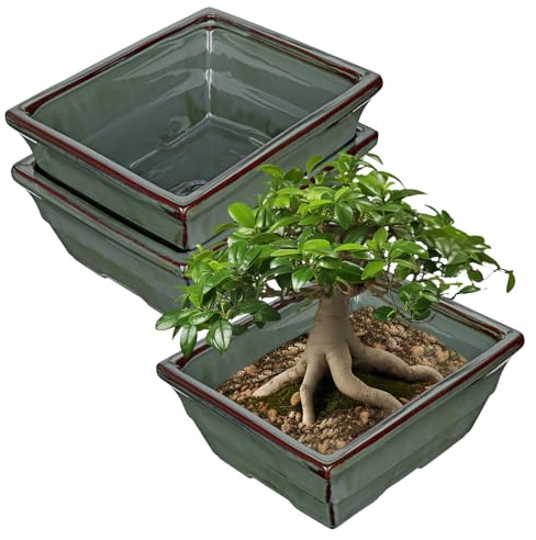 Oairse set om 2 bonsai keramikkruka bonsai skål med dräneringshål för japanska bonsai inomhusväxter, retro dekoration för trädgårdsbehållarset utomhus, diameter öppning 25,5 cm