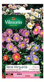 Vilmorin - Sachet graines Reine Marguerite Madeleine variée