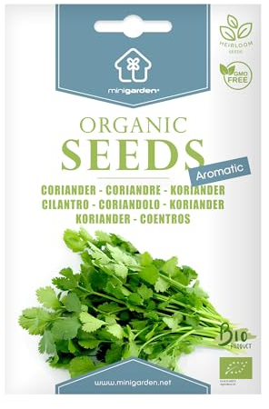 Coriandre, Graines certifiées biologiques prêt à Pousser Minigarden, 100% Naturelles sans Propagateurs Chimiques ni Génie Génétique, inclut entre 240 et 300 graines
