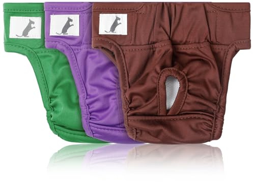 AiQInu 3 Piezas Pañales Perro Macho Hembra, Reutilizables Pañales para Perros, Calzoncillos Fisiológicos Ultra Absorbentes para Perros, Bragas para Perros (30-40 cm)