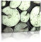 Fotoatelier Dirk Haas Premium - Acrylglas - Seerose - Naturbilder - Blumenfotos - Blume - Bild - Wassertropfen - Acrylglasbild - Glasbild (30 cm x 20 cm)