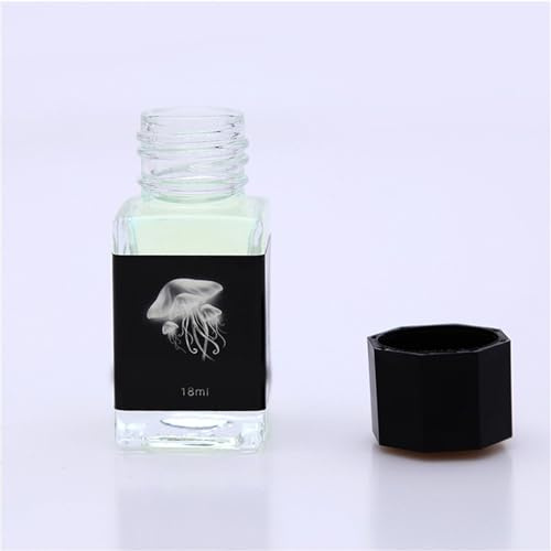 Encre invisible amusante - Disparition - 18 ml - Pour fontaine en verre - Stylo plume invisible - Fluorescence Bot