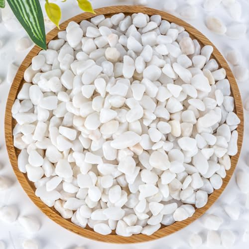 Sukh Piedras blancas de 1 libra para plantas de interior, rocas blancas decorativas naturales de 1/5 pulgadas, piedras de río pulidas, guijarros pequeños para suculentas y cactus, jardinería al aire