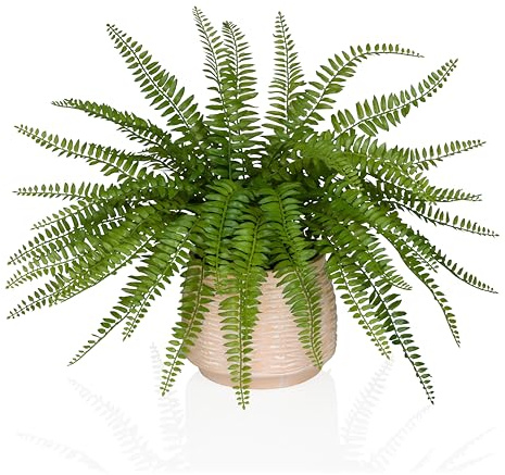 hjh OFFICE Planta artificial Proliferum de 40 cm – Verde, hoja perenne, fácil de limpiar, réplica realista de plástico y textiles