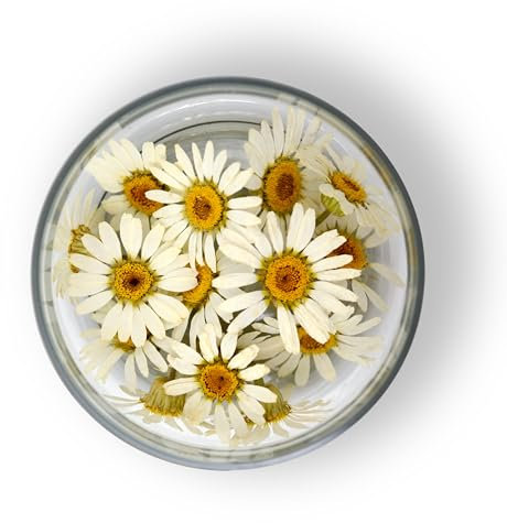 Rosie Rose essbarere gelbe Margeriten, 15 Stück, getrocknete Blumen Deko für essbare Blüten Tortendeko und zum Kochen, 100% natürlich, Ideal für Tee, Cupcakes, Salate und Torten-Dekorationen