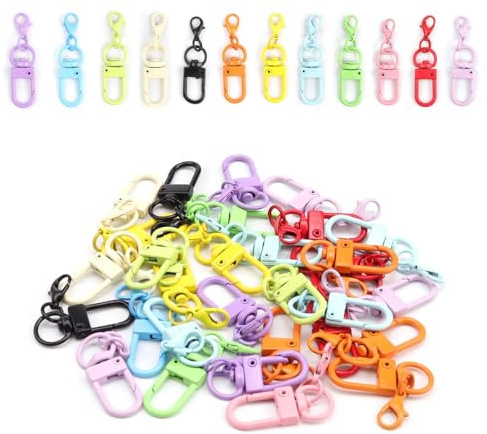WJUAN Porte-clés coloré 40 pièces, alliage de zinc, mousqueton, lanière à crochet décorative