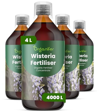 Flytande gödsel för blåregn 4L – Organiskt näringstillskott för frodig tillväxt, starka blad och rik blomning – Organifer