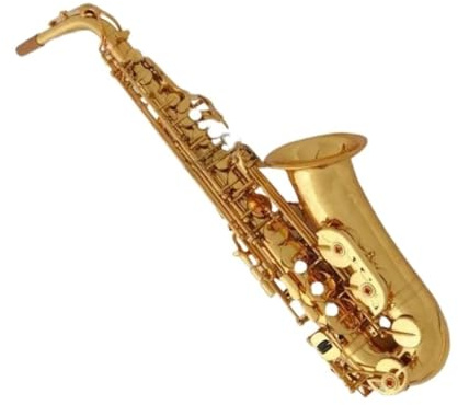 Professionell Saxofon Altsaxofon Med Munstycke Och Fodral