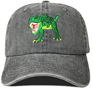 Hepandy Bestickte Baseballmützen für Männer und Frauen, Trex Dinosaurier (Dunkelgrau), Einheitsgröße